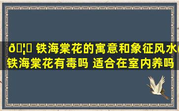 🦍 铁海棠花的寓意和象征风水(铁海棠花有毒吗 适合在室内养吗)